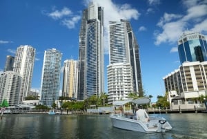 Gold Coast: elektrische picknickbootverhuur vanaf Isle of Capri