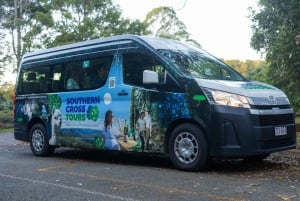 Costa Dorada: Experiencia nocturna en la selva tropical y con lombrices incandescentes