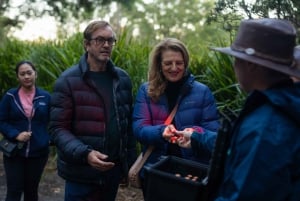 Costa Dorada: Experiencia nocturna en la selva tropical y con lombrices incandescentes