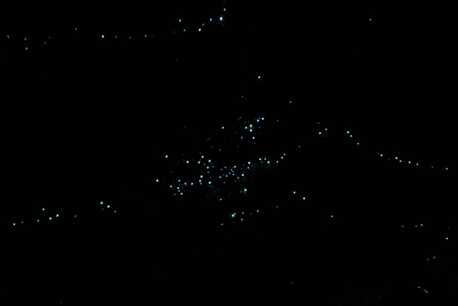 Gold Coast Glow mato yökierros (Kiinalainen ryhmä)