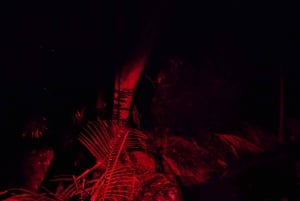 Tour nocturno de los gusanos incandescentes de la Costa Dorada (Grupo Chino)