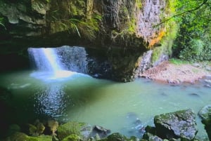 Gold Coast: świetliki, las deszczowy i wodospad – spacer w dzień lub w nocy