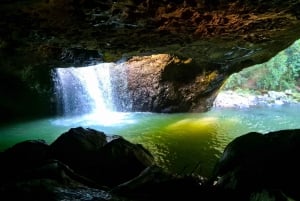 Gold Coast: świetliki, las deszczowy i wodospad – spacer w dzień lub w nocy