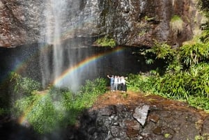 Gold Coast: świetliki, las deszczowy i wodospad – spacer w dzień lub w nocy