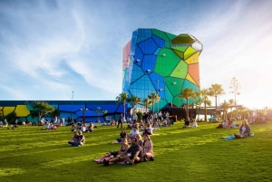 Gold Coast: Hopo Explorer Pass with Ferry and Transport