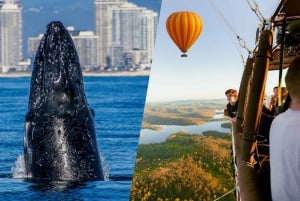 Gold Coast: Hot Air Balloon, Breakfast & FREE Whale Watching