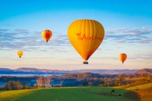 Gold Coast: Hot Air Balloon, Breakfast & FREE Whale Watching