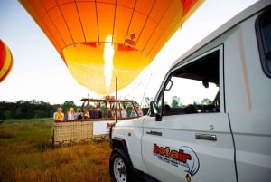 Gold Coast: Hot Air Balloon, Breakfast & FREE Whale Watching