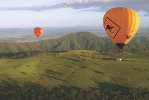 Gold Coast: Hot Air Balloon, Breakfast & FREE Whale Watching