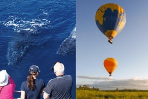 ゴールドコースト：熱気球、朝食、無料のホエールウォッチング