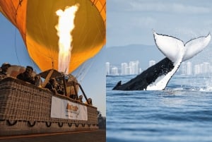 ゴールドコースト：熱気球、朝食、無料のホエールウォッチング