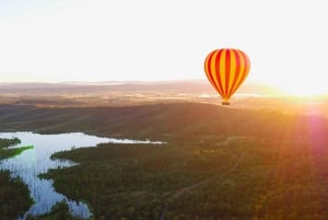 Gold Coast: Hot Air Balloon Flight and Vineyard Breakfast