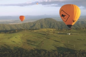 Côte d'Or : Vol en montgolfière et petit-déjeuner dans un vignoble