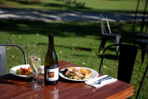 Gold Coast: Ballongtur og frokost på vingård
