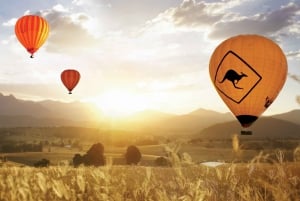 Gold Coast: vuelo en globo aerostático, vino espumoso y fotos