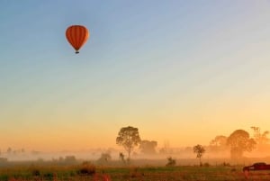 Gold Coast: vuelo en globo aerostático, vino espumoso y fotos