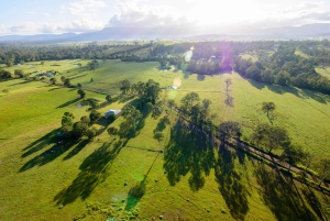 Gold Coast: vuelo en globo aerostático, vino espumoso y fotos