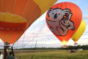 Gold Coast: vuelo en globo aerostático, vino espumoso y fotos
