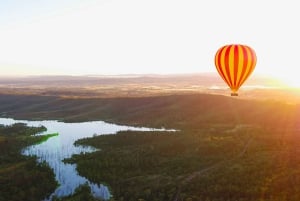 Gold Coast: vuelo en globo aerostático, vino espumoso y fotos