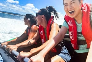 Gold Coast: Jet Boat Ride & Sea World -pääsyliput