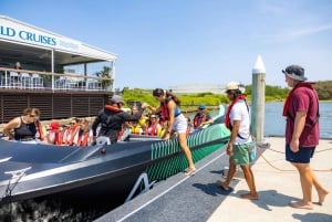 Gold Coast: Jet Boat Ride & Sea World -pääsyliput