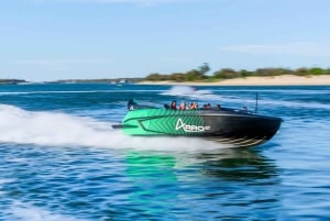 Gold Coast: Jet Boat Ride & Sea World -pääsyliput