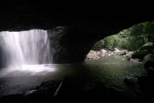 Costa de Ouro: Experiência com cangurus, floresta tropical e cachoeiras