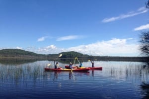 Kingscliff: 2-timers kajakkfiskeeventyr (selvguidet)