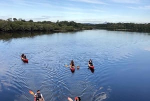 Kingscliff: 2-timers kajakkfiskeeventyr (selvguidet)