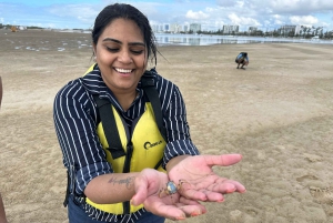 Gold Coast: Kayaking & Snorkelling Tour with Fish Feeding