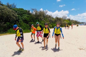 Gold Coast: Kayaking & Snorkelling Tour with Fish Feeding