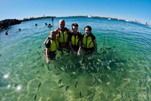 Gold Coast: Kayaking & Snorkelling Tour with Fish Feeding