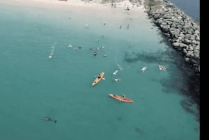 Gold Coast: Kayaking & Snorkelling Tour with Fish Feeding