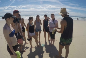 Gold Coast: Kayaking & Snorkelling Tour with Fish Feeding