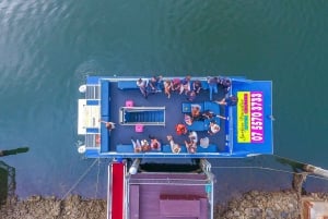 Gold Coast Morning Tea Cruise from Surfers Paradise