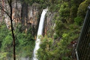Gold Coast: Natural Bridge & Springbrook Waterfalls Tour
