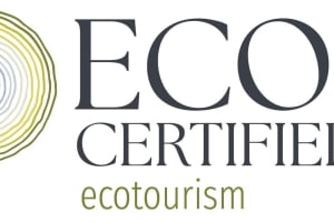 골드 코스트: 내추럴 브리지 글로우 웜 나이트 투어