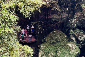 Gold Coast: Natural Bridge, Glow worms & Magic Sky View