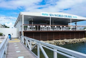 Gold Coast: crociera premium per l'avvistamento delle balene con naturalista