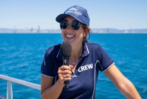 Gold Coast: Premium Whale Watching Cruise luonnontieteilijän kanssa