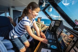 Gullkysten: Premium hvalsafari med hvalsafari