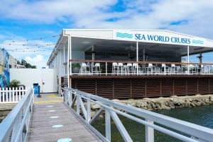 Gullkysten: Premium hvalsafari med hvalsafari