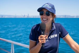 Gullkysten: Premium hvalsafari med hvalsafari