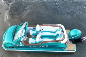 골드 코스트: 프라이빗 시티 라이트 투어