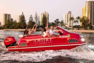 골드 코스트: 프라이빗 시티 라이트 투어