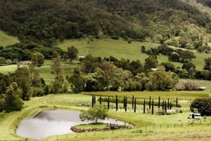 Gold Coast: Private Winery Tour in a New Luxury Vehicle