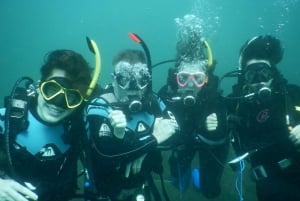 Gold Coast Reef and Wreck Scuba Diving Tour