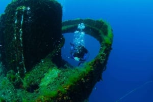 From Hollywell: Gold Coast Reef and Wreck Scuba Diving Tour
