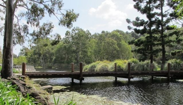 Gold Coast Regional Botanic Gardens