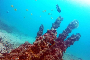Gold Coast: Snorkelling in Wave Break Island